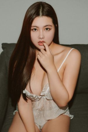 沙海全文免费阅读_HD在线观看高清